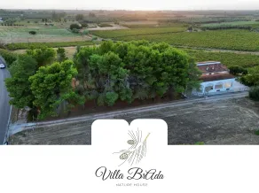 Comfortable villa in pine forest 15 minutes from the sea/Lecce - Image 4