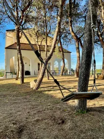 Comfortable villa in pine forest 15 minutes from the sea/Lecce - Image 3