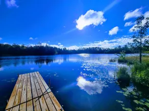 Waterfront 3 acre private Peninsula w Hot Tub - Image 5