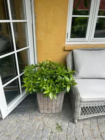 Wonderful house with courtyard - in the city center - Image 2