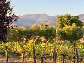 Country Villa, 4 Bedrooms, 3.5 Baths, Sleeps 6-8+ - Image 2