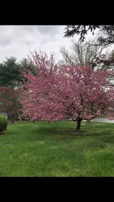 Adorable Bucks County Getaway - Image 4