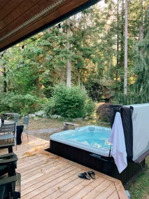 Mt Baker Forest Cabin - Sauna, Hot Tub, Fire Pit - Image 2