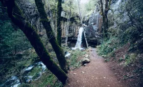 Riverfront + EV Charger | Minutes to Waterfalls - Image 5