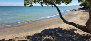 Hickory Lakehouse near Point Pelee, secluded beach - Image 2