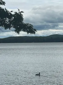 Part of the Belgrade Lakes (North Pond) - Image 2