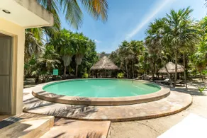 Apartment near the sea in Progreso - Image 3