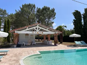 Beautiful 300 m2 luxury villa with jacuzzi pool - Image 2