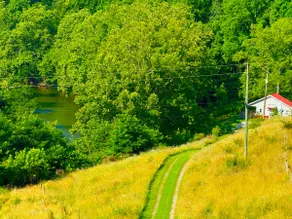 Cozy riverfront cabin on 106 acres near Bristol - Image 2