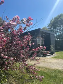 Luxurious tiny home in peaceful garden setting - Image 2