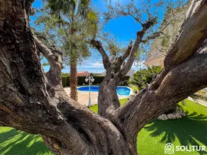 Villa Palmeral: Piscina, Gran Jardin, Barbacoa, Parking - Image 5