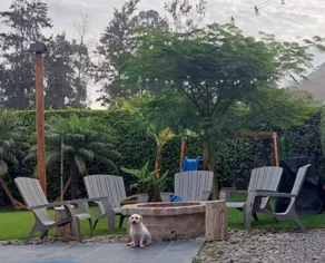 Modern house, pets allowed - Image 5