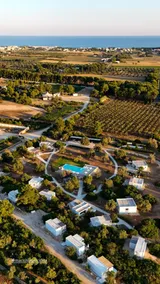Dolce far niente surronded by olive trees - Image 2