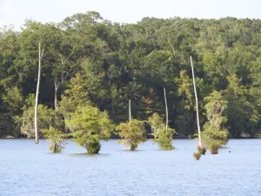 Nantachie Water View Lake House - Image 5