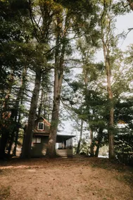 Waterfront Cabin - screened porch & stunning views - Image 5