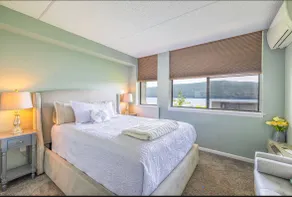 Finger Lakes Best Lake View Chic Condo + Fireplace - Image 3