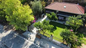 Milina Beach House - Image 3