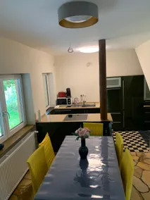 Villa apartment with fireplace and garden - Image 4