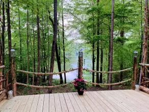 Piece of Heaven Airbnb, Wedding, and Event Center - Image 4