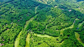 Tree Top Lodge, Private Country Club + Hot Tub - Image 5