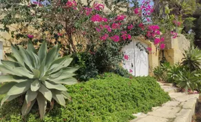 Gozo holiday home. Serenity, Sun, and Sea - Image 2