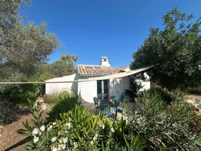 Quinta Jabuti, Casa Cobra near Fuseta beach - Image 3