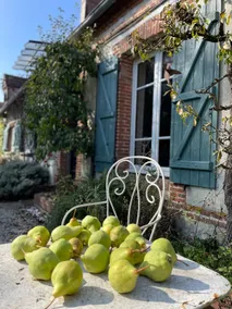 Country house in the Perche – 2 hours from Paris - Image 5