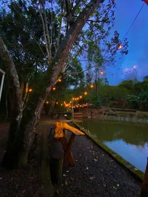 Relaxing space in the midst of nature - Image 4