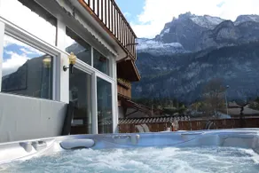 Toni's Alpine Loft & SPA - Image 2
