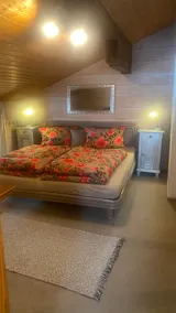 Sweet apartment with balcony, garden, pets allowed - Image 4