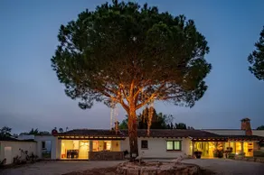 Villa del Artista super luxury - Image 4