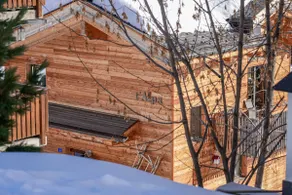Chalet t'Alpa - Image 3
