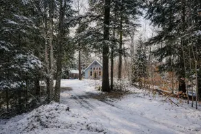 Nature cabin | fire pit, fireplace, yard + privacy - Image 4