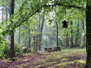 Bear Creek Resort ~ Trails, Waterfalls, Horses - Image 5