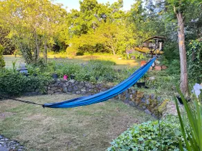 Cozy Rainforest Style Guest Suite - Image 3