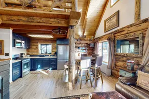 Classic 1BR Mountainview Dog Friendly - Image 5