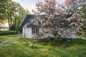 Unique house from the 1600s, as well as house of gaia - Image 2