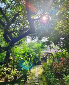 Peaceful Paradise in South Goa - Image 4