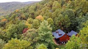 Daniels Mountain Lodge, large cabin by Shenandoah - Image 1