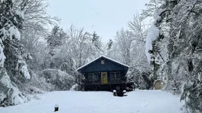 Cabin by the woods, Hunter Mountain & Kaaterskills - Image 2