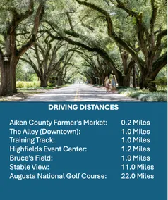 Cozy Chic Getaway Minutes from Downtown Aiken - Image 5