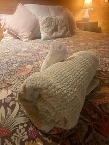 Rainforest Haven Acreage Retreat - Image 3