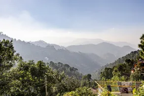 The Ivyview Villa. Barog(Near Kasauli) 4 bedrooms - Image 5