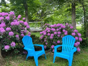Family & Pet Friendly Home: Sunlit, Yard, Laundry - Image 5