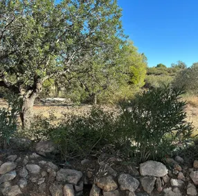 Finca Vilamarxant Olivereta Charming House - Image 3