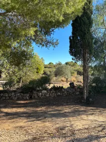 Finca Vilamarxant Olivereta Charming House - Image 2