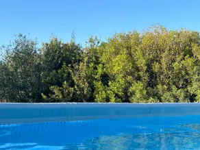 Finca Vilamarxant Olivereta Charming House - Image 4