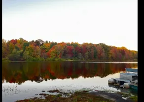 ”Peaceful Log Cabin on Wooded Private Lake” - Image 2