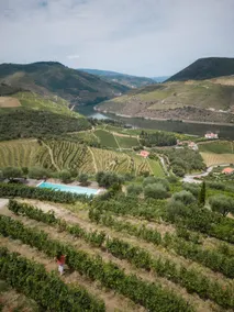 Feel Discovery Alvim's Douro - Image 5