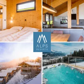 Premium chalet with sauna - Image 2